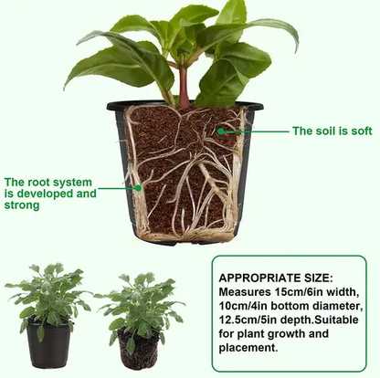 seaux de semis hors sol