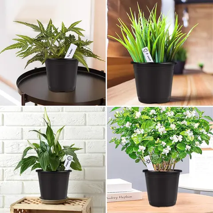 seaux de semis hors sol