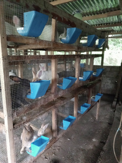 mangeoire anti gaspillage pour lapin