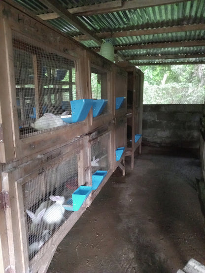 mangeoire anti gaspillage pour lapin