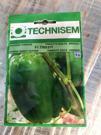poivron bio SEM