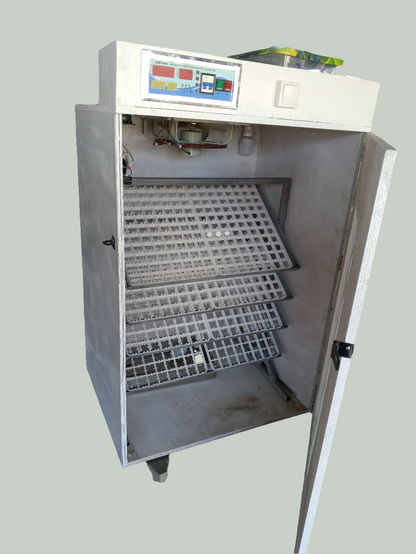 Incubateur 704 oeufs