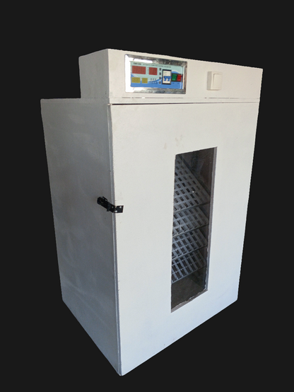 Incubateur 704 oeufs