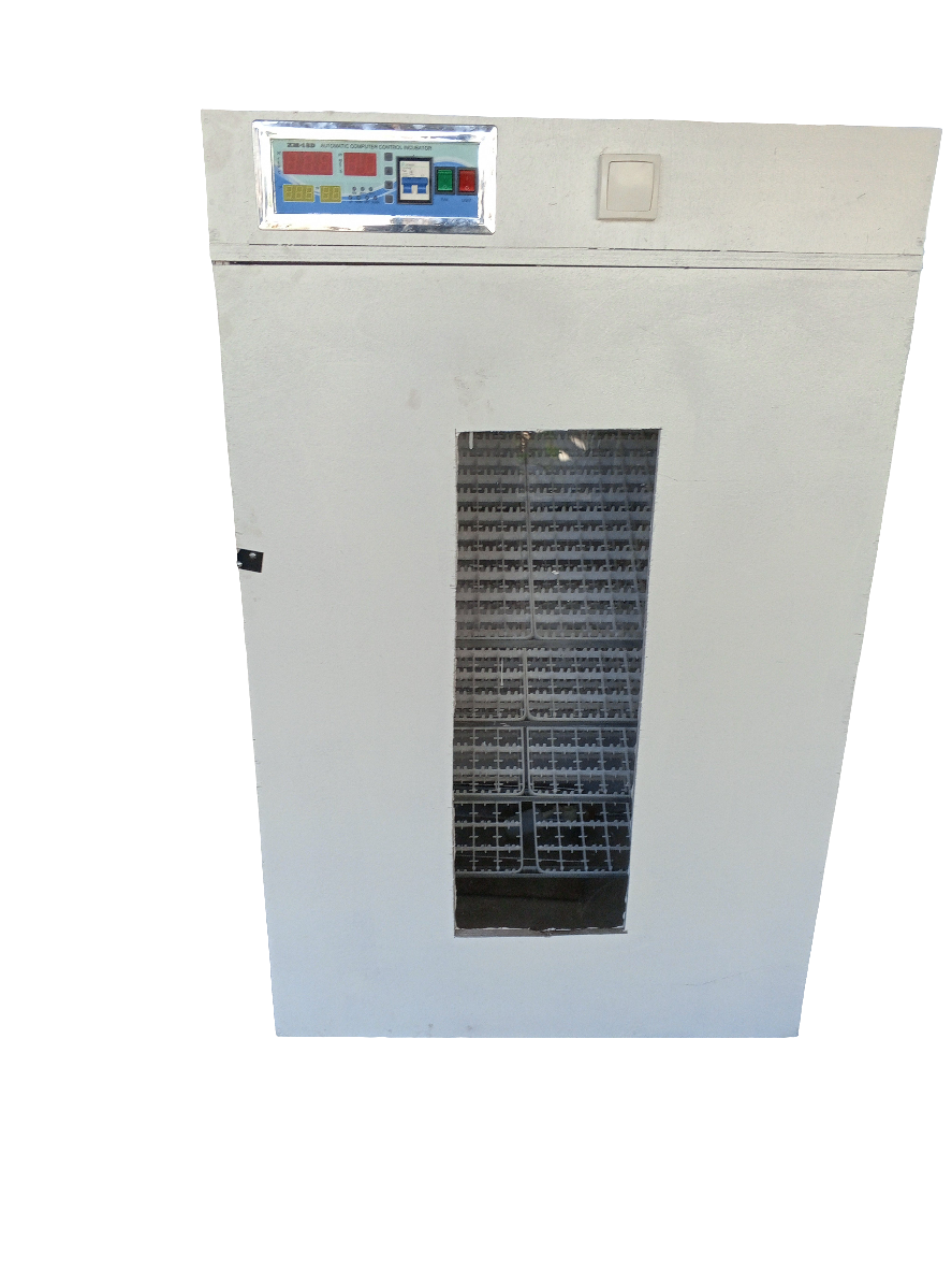 Incubateur 704 oeufs