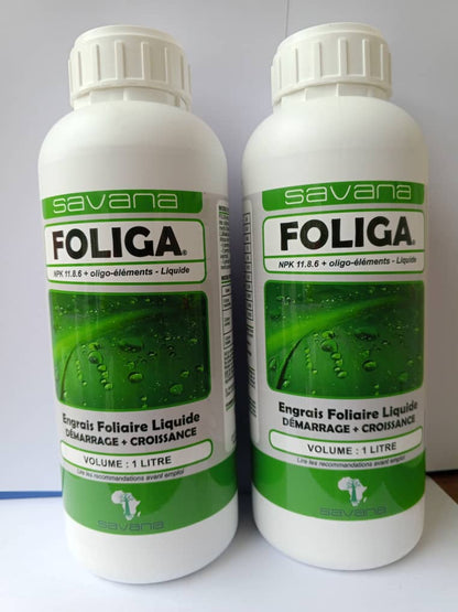 Fongicide et insecticide