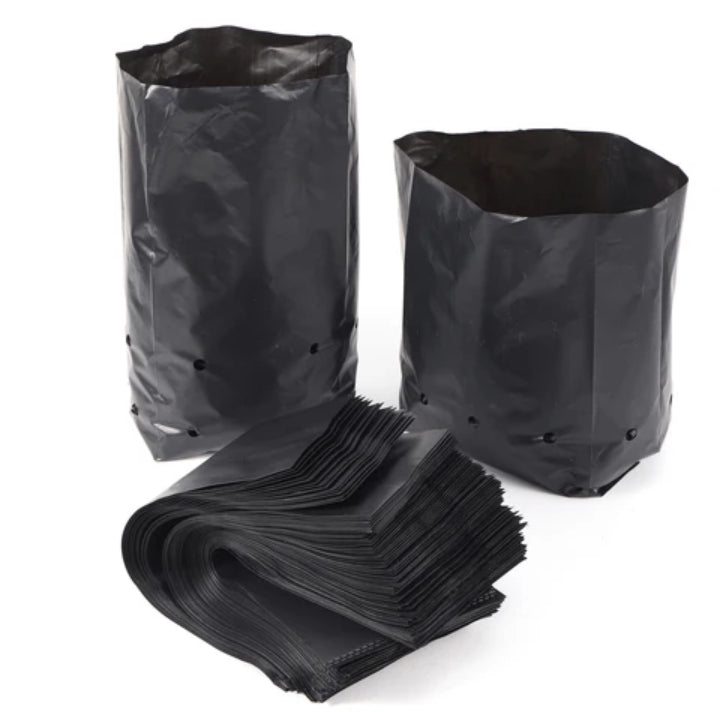 Sachets pépinière