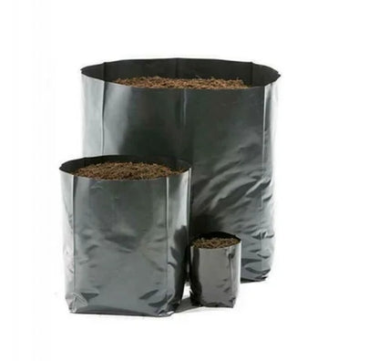 Sachets pépinière