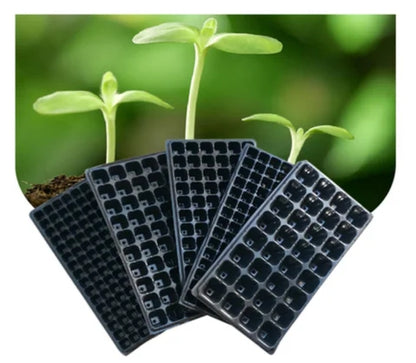 plateaux de germination 72 alvéoles